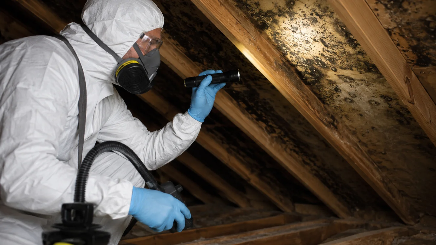 Mold remediation technician treating a heavily affected bathroom under containment